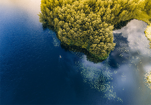 Punjab eases its shops and establishments rules: Key amendments for 2025