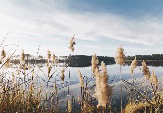 New York: Labor law shifts